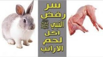 معلومة لازم تعرفها.. اكتشف لماذا كان النبي محمد صلى الله عليه وسلم لا يأكل لحم الأرنب وهو غير محرم .. الحقيقة ستصدمك!