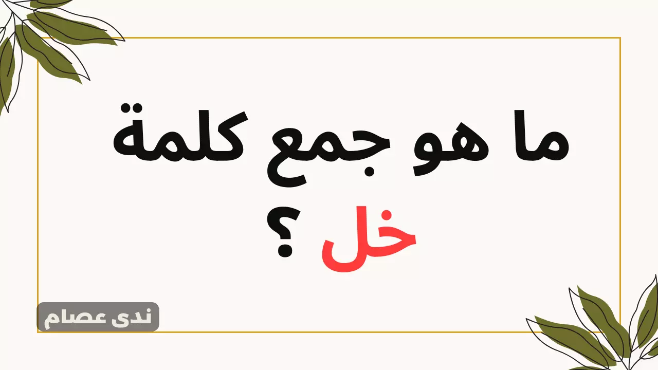 اللغز الذي حير الجميع؟! .. هل تعرف ماهو جمع كلمة"خل" في اللغة العربية؟! .. مش هتصدق الإجابة!!