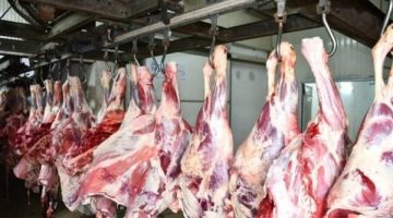 انخفاض أسعار اللحوم 20%.. والحبس سنة عقوبة المخالفين طبقا للقانون