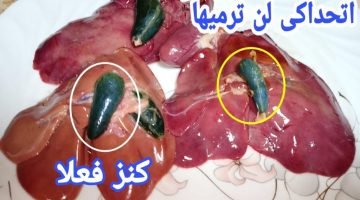 “معلومة محدش يعرفها” طريقة الاستفادة من مرارة الدجاج.. فيها كنوز بالملايين..!!