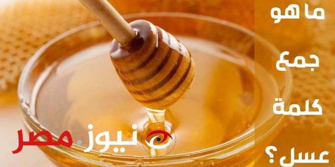 «لو عرفتها تبق عبقري»... 99٪ مش عارفين الإجابة ما هو جمع كلمة عسل في اللغة العربية!!