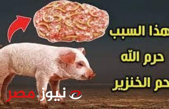 99% ميعرفوش السبب أي!!... تعرف على السبب الرئيسي لتحريم تناول لحم الخنزير..!!!