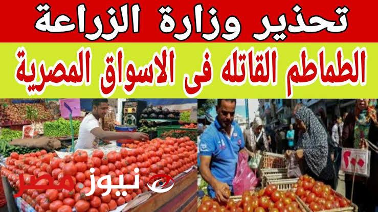 تحذيرات وزارة الصحة بشأن نوع خطير من الطماطم