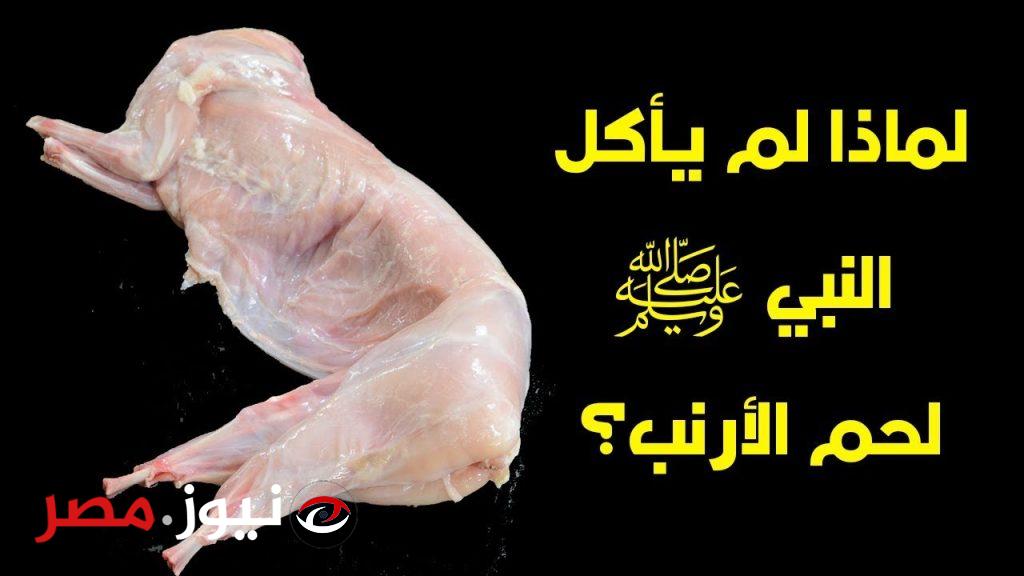 سبب لم تتوقعه من قبل!.. لماذا كان النبي محمد لا يأكل لحم الارنب نهائيا... مستحيل تكون عارف السبب.!!