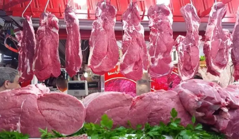هدايا حكومية قبل عيد الفطر.. تخفيضات كبرى على أسعار اللحوم 2024| اعرف الكندوز بكام