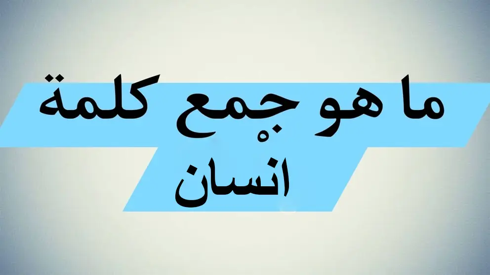«صدمة للملايين».. ما هو جمع كلمة «انسان» في اللغة العربية؟.. إجابة السؤال ستدهشك!!
